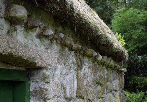 thatchedroof tiedown