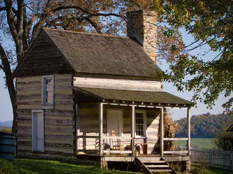 Building your own log house